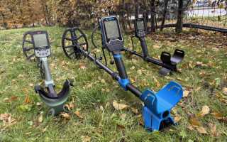 IPA Deepex проти Nokta Makro Simplex Ultra: чесне порівняння для шукачів скарбів України
